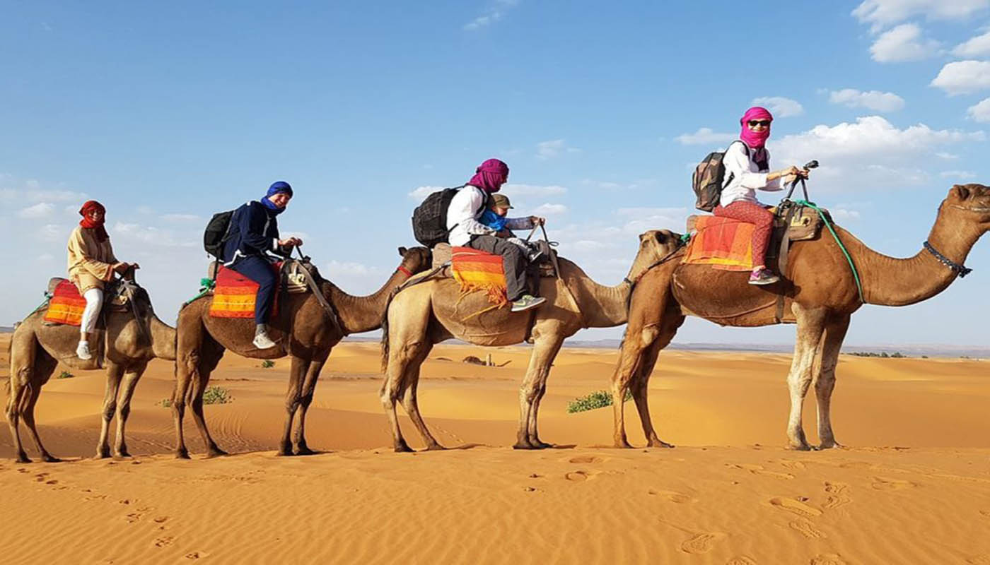 Camel trekking experience during an overnight Sahara tour
